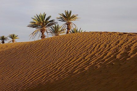 Paysage Maroc