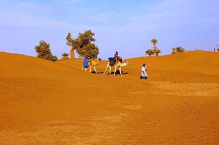 Paysage Maroc